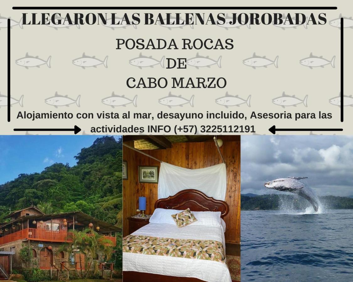 Posada Turistica Rocas De Cabo Marzo Bahia Solano Eksteriør billede