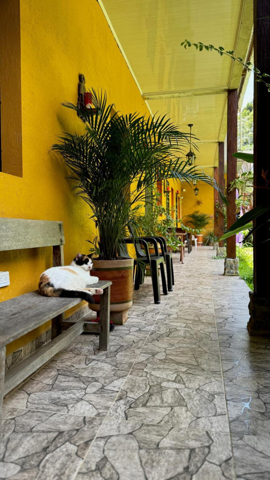 Posada Turistica Rocas De Cabo Marzo Bahia Solano Eksteriør billede